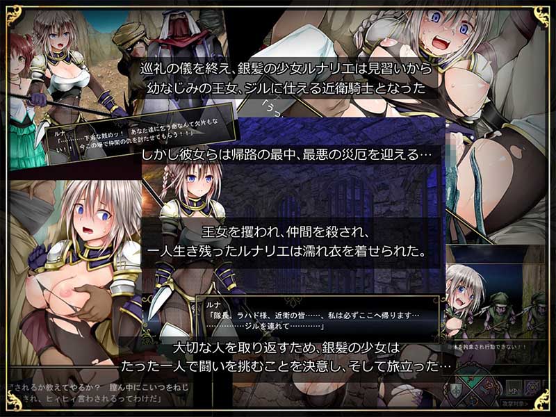 濡れ衣を着せられた女騎士の冒険